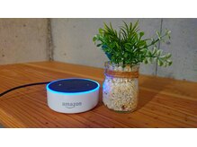 セシオ(SEACIO)/心も安らぐ音楽♪