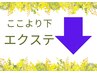 エクステメニュー色々　ここから下　　梅田　芝田　茶屋町　中崎町