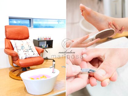 マリポッサ(mariposa)の写真