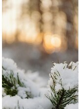 スペラ(Spera) リンパ冬 時事情報