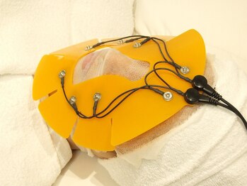 リーナ(LiNA Beauty Garden)/細胞イキイキコース &nbsp;セルサー