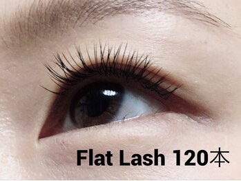 ハーゼ(Hase)/Flat Lash【Black】120本