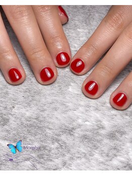 モルフォ 千駄ヶ谷(Morpho)/ツヤツヤビタミンカラー