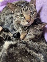 ソワンド ルバンシュ/仲良しな、めいとさつき☆