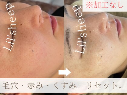 リルシープ(LIL'SHEEP)の写真