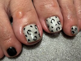 マグネット　レオパード