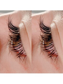 シルフ 西宮店(Sylph)/西宮/まつエク/まつ毛パーマ