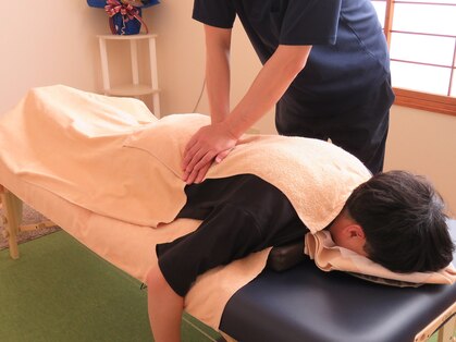 すずかぜの写真