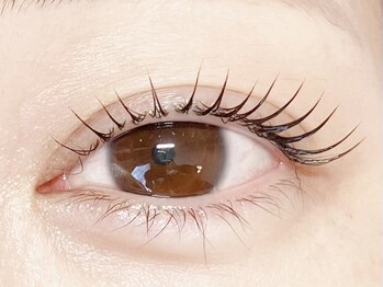 ブルーム(Bloom.)/まつげパーマ