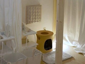 フラン(Fran)の写真/【本格よもぎ蒸しが体験できます】プロが手がけた”癒しの空間”へ、いらっしゃいませんか…？