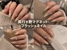 ※平日限定※【人気No.1】奥行き艶マグネット・フラッシュネイル