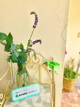 ケンコウサロン クローバー/ハーブをいつでも飾り癒しの空間