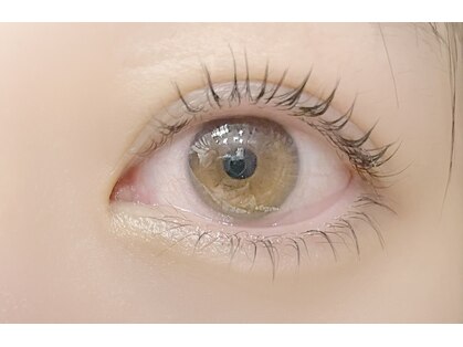 ルナ(Luna)の写真