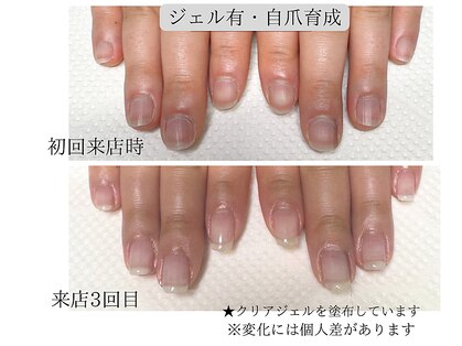 シープラスの写真