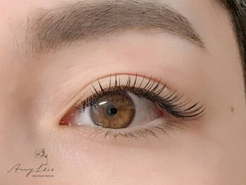 アマリリス(Amaryllis)/フラットラッシュ