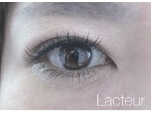 ラクトゥール(Lacteur)/フラットセーブル●つけ放題