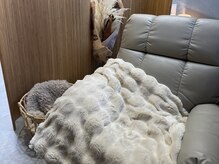 Link【2/1 NEW OPEN（予定）】の雰囲気（ふわふわなリクライニングチェア）