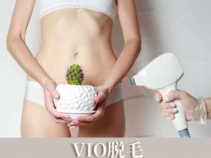 クリアー(clear)の写真