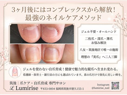 ルミライズ(Lumirise)の写真