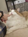 ネイルサロン フローリア(nail salon Florir)&nbsp;猫ちゃん飼ってます。