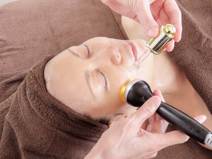 フリージア(Freesia)の写真