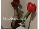テノテノネイル(tenoteno_nail)の写真