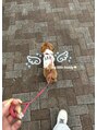 エムズアイブロウ(M’sアイブロウ)&nbsp;休みの日は愛犬とおでかけします！
