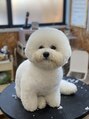 オルネ(ORNE.)&nbsp;うちの愛犬ロイくんです♪(笑)休日は一緒にカフェに行ってます♪