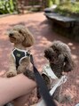 ディサイドロー(DECIDE L.A.W) 大好きな家族(*´`*)teddy bearです♪