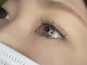 フリー#240(Free#240)/フラットラッシュ◇160本