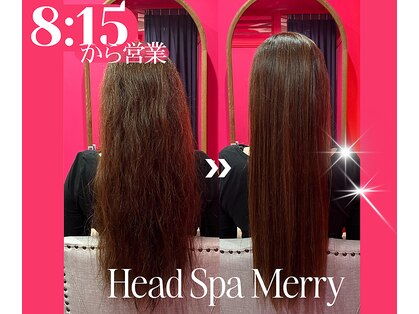 メリー(Merry)の写真