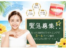 エクシアホワイト SOKA(ecxia white)