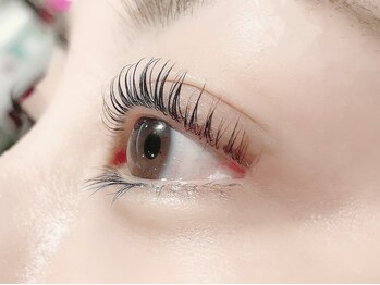 マーキュリーカール バイ リゴレット(Mercury Curl by RIGOLETTO)/まつげパーマ