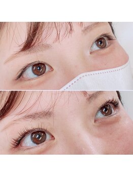 プルメリアラッシュ(PlumeriaLash)/ビューラー式まつげパーマ