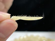 ヴィーヴォ(Vivo)の雰囲気(細かい産毛までアプローチ。目に見えない部分まで妥協しません。)