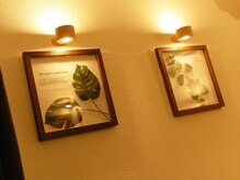 名のないサロン/癒しを演出する柔らかな灯り