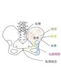 こころ整骨院 苫小牧新中野院 股関節の痛みの原因についてブログにて紹介!