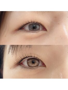 アリーズ アイラッシュ(Ally's Eyelash)/L3リフト