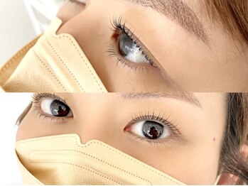 シャルフ(shalf)/