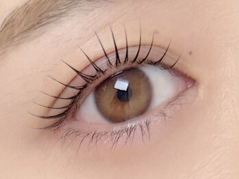 グロウ 藤沢(GLOW)/ラッシュリフト