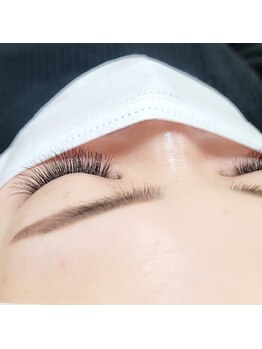 アイラッシュサロン カルモ(eye lash salon calmo)/3D / 120束 / C carl