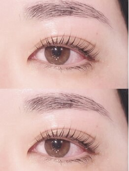 ビューティーアイ 北野田店(Beauty Eye by Lily)の写真/パッチリ派もカール派もお任せ♪大人気のまつ毛パーマ”パリジェンヌラッシュリフト”アイブロウとSETも◎