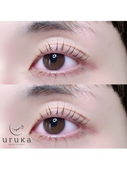 ウルカ 小田原店(uruka)/ラッシュリフト