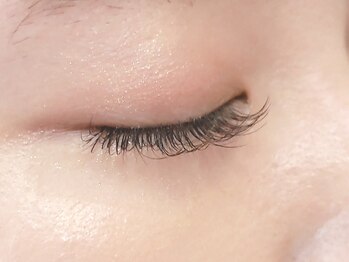 オレンジスター バイ パッセージ(ORANGE STAR BY PASSAGE)/フラットブラウン[相模大野]