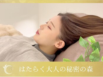 森の雨やどり けやき通り店