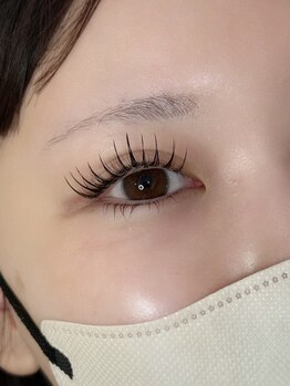 コネクト(CONNECT)/LEDパリエク120本