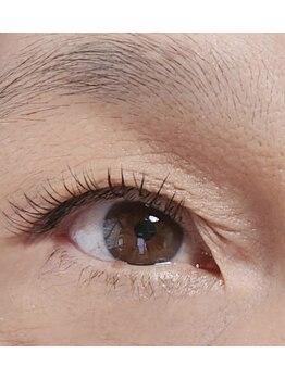 ジャポネスク(JAPONESQUE)/セーブル