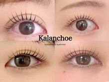 カランコエ(Kalanchoe)