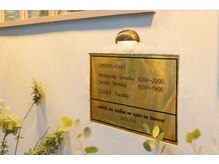 ルーラドライヘッドスパアイラッシュ(LAURA DryHeadSpa/Eyelash)/外観