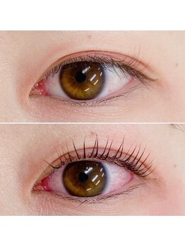 プルメリアラッシュ(PlumeriaLash)/ビューラー式まつげパーマ